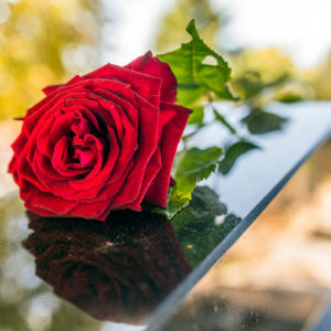 a rose laid atop a coffin